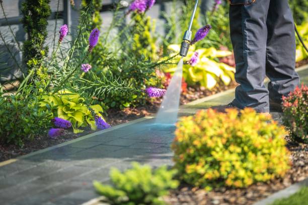 Best Residential Exterior Washing  in Elsmere, DE