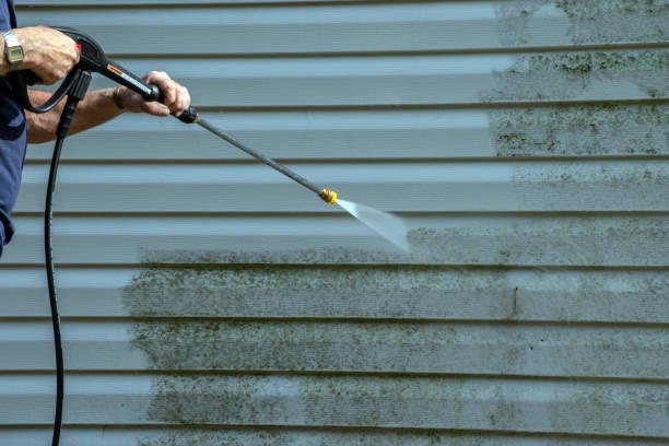 Best Patio and Deck Pressure Washing  in Elsmere, DE